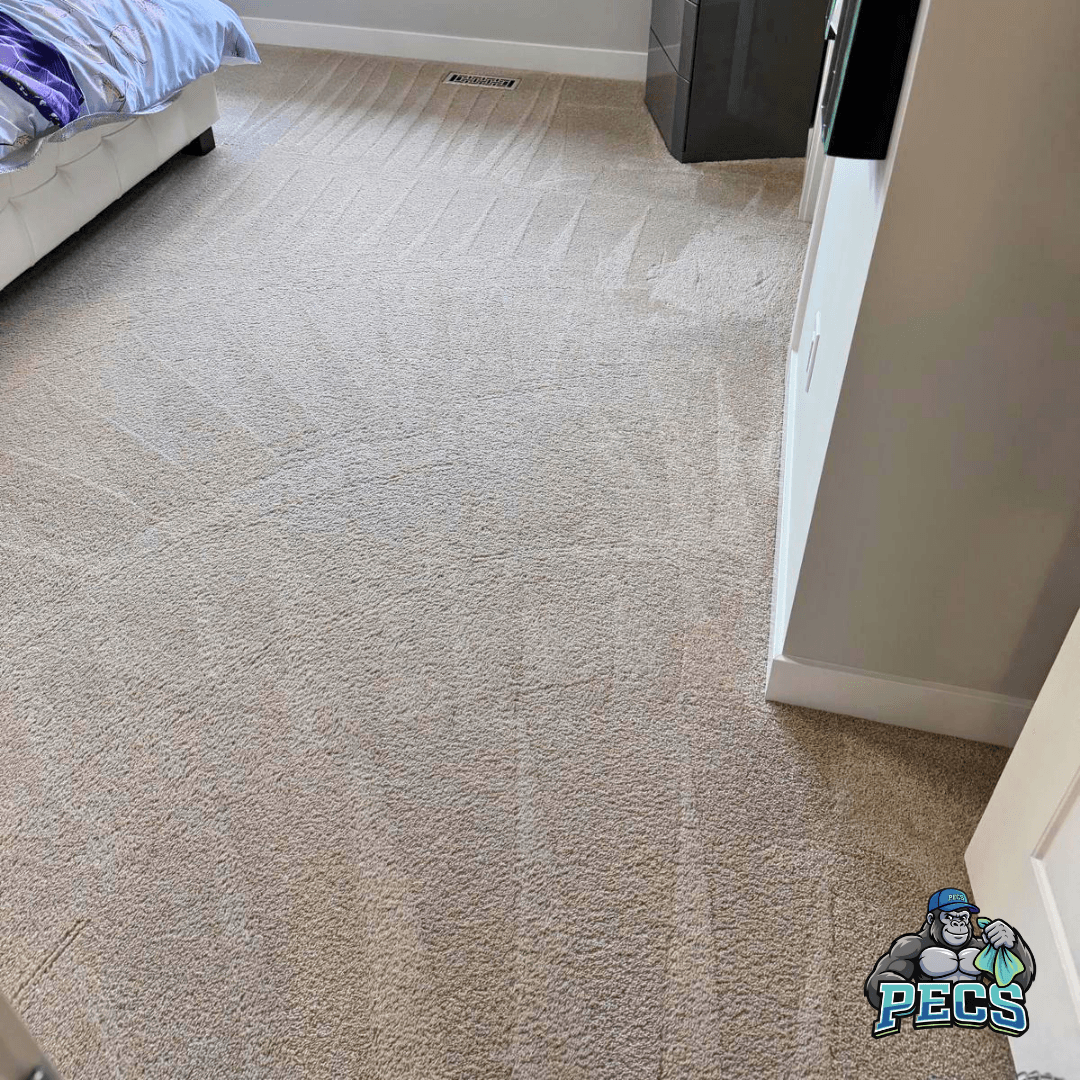 Freshly cleaned beige bedroom carpet featuring distinct vacuum lines and a professional, tidy appearance.